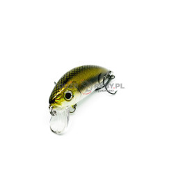 Strike Pro Mustang Minnow mg-002(f) a51t 4.5cm